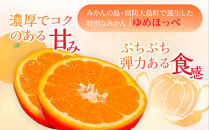 【2026年3月より順次発送】山口県周防大島町からあなたの街へ幸せ運ぶ春みかん《ゆめほっぺ》5kg