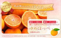 【2026年3月より順次発送】山口県周防大島町からあなたの街へ幸せ運ぶ春みかん《ゆめほっぺ》5kg