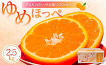 【2026年3月より順次発送】山口県周防大島町からあなたの街へ幸せ運ぶ春みかん《ゆめほっぺ》2.5kg