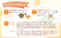 【2026年3月より順次発送】山口県周防大島町からあなたの街へ幸せ運ぶ春みかん《ゆめほっぺ》2.5kg