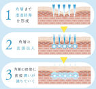 注入できる美容液Seleia（セレイア）Moisture Luxe ST  4本入り