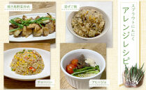 スプラウトにんにく&nbsp;12片　国産ホワイト六片使用、無農薬、水耕栽培