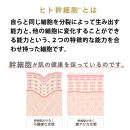 【ジョワセリュール】ヒト幹細胞エキス配合&nbsp;ローション［&nbsp;京都&nbsp;美容&nbsp;ブランド&nbsp;美肌を叶える化粧水&nbsp;エイジングケア&nbsp;シワ・タルミ・シミ対策&nbsp;人気&nbsp;おすすめ&nbsp;化粧水&nbsp;スキンケア&nbsp;高保湿&nbsp;基礎化粧品&nbsp;化粧品&nbsp;お取り寄せ&nbsp;通販&nbsp;送料無料&nbsp;ふるさと納税&nbsp;］