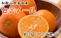 ［濃厚オレンジ］和歌山有田産セミノール約3kg(サイズ混合 秀品)★2026年4月中旬頃より順次発送［TM212］