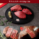 【和牛セレブ】鳥取県産牛ヒレステーキ 120g×２枚