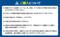 オートドライ　AD-40A