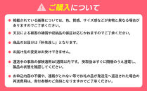 オートドライ　ED-40KITTY