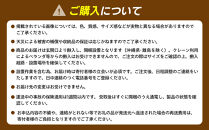 フラットドライ　FD-140A2(B)