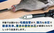 津本式&nbsp;血抜きポンプ&nbsp;充電式&nbsp;携帯式&nbsp;持ち運び便利&nbsp;自宅でも船の上でも使える&nbsp;ポータブル&nbsp;コードレス&nbsp;魚&nbsp;保存処理&nbsp;鮮度保持&nbsp;血抜き&nbsp;有名&nbsp;人気&nbsp;魚釣り&nbsp;フィッシング&nbsp;専用バッグ&nbsp;専用ボトル付き&nbsp;おすすめ