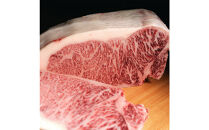 飛騨牛 サーロインステーキ　500g