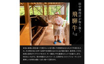 飛騨牛 サーロインステーキ　500g