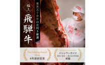 飛騨牛 サーロインステーキ　500g