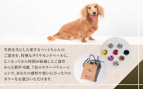 ペットメモリアル 炭素から作るダイヤモンドベールABBY(アビー)お守り袋入り