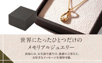 ペットメモリアル 炭素から作るダイヤモンドベールABBY(アビー)ペンダント