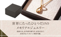 炭素から作るダイヤモンドベールABBY(アビー)ペンダント 