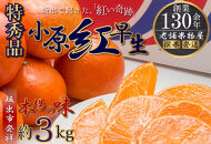 特秀品！小原紅早生みかん　約3kg【坂出発祥の真っ紅なお蜜柑】
