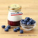 かもめプリン5種6個セット