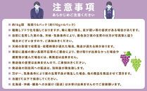 2025　P　クイーンルージュ®　冷凍粒採り6パック&nbsp;　約1kg弱　長野県産【10月中旬頃～順次発送予定】国際特許有機肥料栽培｜&nbsp;果物&nbsp;フルーツ&nbsp;ぶどう&nbsp;ブドウ&nbsp;&nbsp;食べきりサイズ&nbsp;人気&nbsp;おすすめ&nbsp;葡萄&nbsp;&nbsp;ギフト&nbsp;送料無料&nbsp;長野県&nbsp;大町市