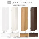 【国産家具】オーダーすき間ラック〔幅16cm・扉付き・ロータイプ〕（オーク）隙間収納&nbsp;キッチン&nbsp;カラーボックス&nbsp;スリム&nbsp;扉付き&nbsp;ラック&nbsp;薄型&nbsp;木製&nbsp;約&nbsp;奥行30&nbsp;高さ90&nbsp;5段&nbsp;本棚&nbsp;オーダーラック&nbsp;扉付き棚&nbsp;収納棚&nbsp;ロータイプ&nbsp;ABE400080-16-OAK