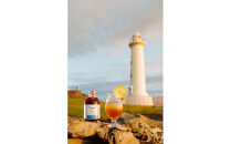 【テレビで紹介】愛知 知多 クラフトコーラ 240ml 3本 コーラ シロップ 飲料 ドリンク 炭酸割り ソーダ割り ミルク割り お酒 アイス アレンジ可能 相性抜群 愛知県産 レモン みかん 人気 おすすめ 大府市