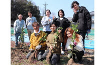 尾道柑橘バラエティーセット&nbsp;15kg
