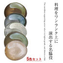 信楽焼 彩り取り皿5色セット