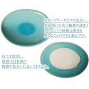 信楽焼 清流 カレー皿 / パスタ皿