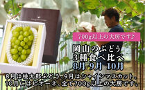 【定期便】岡山のぶどう　3種食べ比べ（8月・9月・10月）【2026年度発送】