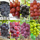 ぶどう&nbsp;2026年&nbsp;農家こだわりのシャインマスカット＆お任せ２品種&nbsp;&nbsp;３房合計約1.5ｋg&nbsp;ブドウ&nbsp;葡萄&nbsp;岡山県産&nbsp;国産&nbsp;フルーツ&nbsp;果物&nbsp;ギフト&nbsp;【&nbsp;Nini&nbsp;farm&nbsp;農家&nbsp;直送&nbsp;】