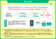 【2026年7月21日以降&nbsp;受付一時停止予定】&nbsp;宮田村産CO2フリーでんき&nbsp;30,000&nbsp;円コース（注：お申込み前に申込条件を必ずご確認ください）