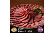 飛騨牛 肩ロース 500g 焼肉