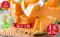 【先行予約】 北海道産赤肉メロン約1.3kg×1玉 (2025年7月中旬から発送予定)_05228