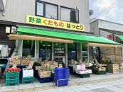 【先行予約】朝採り　とうもろこし　ゴールドラッシュ　約2.2kg（M～Lサイズ× 6本）（2025年8月下旬から順次発送予定）_05229