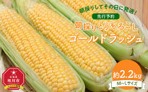 【先行予約】朝採り　とうもろこし　ゴールドラッシュ　約2.2kg（M～Lサイズ× 6本）（2025年8月下旬から順次発送予定）_05229