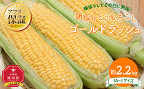 【26年先行予約】朝採り　とうもろこし　ゴールドラッシュ　約2.2kg（M～Lサイズ×&nbsp;6本）（2026年8月中旬から順次発送予定）【&nbsp;人気&nbsp;北海道産&nbsp;糖度&nbsp;生&nbsp;野菜&nbsp;スイートコーン&nbsp;産地直送&nbsp;バーベキュー&nbsp;BBQ&nbsp;コーン&nbsp;旬&nbsp;お取り寄せ&nbsp;旭川市&nbsp;北海道&nbsp;】_05229