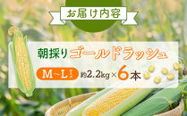 【26年先行予約】朝採り　とうもろこし　ゴールドラッシュ　約2.2kg（M～Lサイズ×&nbsp;6本）（2026年8月中旬から順次発送予定）【&nbsp;人気&nbsp;北海道産&nbsp;糖度&nbsp;生&nbsp;野菜&nbsp;スイートコーン&nbsp;産地直送&nbsp;バーベキュー&nbsp;BBQ&nbsp;コーン&nbsp;旬&nbsp;お取り寄せ&nbsp;旭川市&nbsp;北海道&nbsp;】_05229