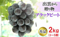 [農家直送]厳選ブラックビート2kg箱（3～5房）[持田農園]