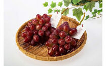 島根県オリジナル品種　神紅1房（600ｇ見当）&nbsp;甘い&nbsp;美味しい&nbsp;新鮮&nbsp;&nbsp;ぶどう&nbsp;フルーツ&nbsp;果物&nbsp;出雲市産