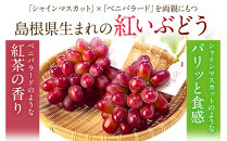 島根県オリジナル品種　神紅1房（500ｇ見当）&nbsp;甘い&nbsp;美味しい&nbsp;新鮮&nbsp;&nbsp;ぶどう&nbsp;フルーツ&nbsp;果物&nbsp;出雲市産