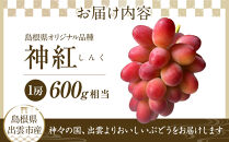 島根県オリジナル品種　神紅1房（500ｇ見当）&nbsp;甘い&nbsp;美味しい&nbsp;新鮮&nbsp;&nbsp;ぶどう&nbsp;フルーツ&nbsp;果物&nbsp;出雲市産