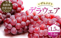 【2026年6月以降発送】いずもぶどうデラウェア&nbsp;約1.5kg&nbsp;7-8房&nbsp;美味しい&nbsp;先行予約&nbsp;フルーツ&nbsp;果物