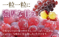 【2026年6月以降発送】いずもぶどうデラウェア&nbsp;約1.5kg&nbsp;7-8房&nbsp;美味しい&nbsp;先行予約&nbsp;フルーツ&nbsp;果物