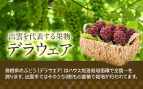 【2026年6月以降発送】いずもぶどうデラウェア&nbsp;約1.5kg&nbsp;7-8房&nbsp;美味しい&nbsp;先行予約&nbsp;フルーツ&nbsp;果物