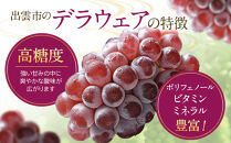 【2026年6月以降発送】いずもぶどうデラウェア&nbsp;約1.5kg&nbsp;7-8房&nbsp;美味しい&nbsp;先行予約&nbsp;フルーツ&nbsp;果物