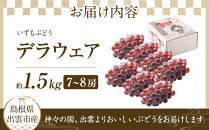 【2026年6月以降発送】いずもぶどうデラウェア&nbsp;約1.5kg&nbsp;7-8房&nbsp;美味しい&nbsp;先行予約&nbsp;フルーツ&nbsp;果物