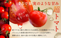 出雲の國からの贈り物～トマトを超えた超トマト１kg&nbsp;|&nbsp;トマト&nbsp;とまと&nbsp;野菜&nbsp;やさい&nbsp;新鮮&nbsp;産地直送&nbsp;贈答&nbsp;出雲&nbsp;出雲市