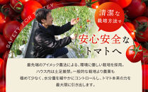 出雲の國からの贈り物～トマトを超えた超トマト１kg&nbsp;|&nbsp;トマト&nbsp;とまと&nbsp;野菜&nbsp;やさい&nbsp;新鮮&nbsp;産地直送&nbsp;贈答&nbsp;出雲&nbsp;出雲市