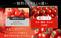 出雲の國からの贈り物～トマトを超えた超トマト１kg&nbsp;|&nbsp;トマト&nbsp;とまと&nbsp;野菜&nbsp;やさい&nbsp;新鮮&nbsp;産地直送&nbsp;贈答&nbsp;出雲&nbsp;出雲市