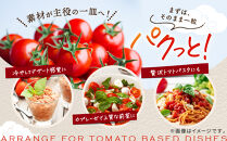 出雲の國からの贈り物～トマトを超えた超トマト１kg&nbsp;|&nbsp;トマト&nbsp;とまと&nbsp;野菜&nbsp;やさい&nbsp;新鮮&nbsp;産地直送&nbsp;贈答&nbsp;出雲&nbsp;出雲市