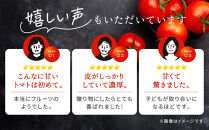 出雲の國からの贈り物～トマトを超えた超トマト１kg&nbsp;|&nbsp;トマト&nbsp;とまと&nbsp;野菜&nbsp;やさい&nbsp;新鮮&nbsp;産地直送&nbsp;贈答&nbsp;出雲&nbsp;出雲市